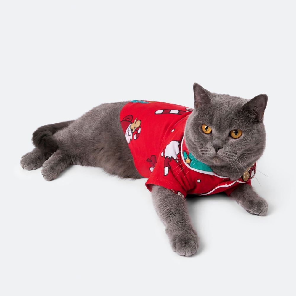 Xmas Rød Julepysj til Katt
