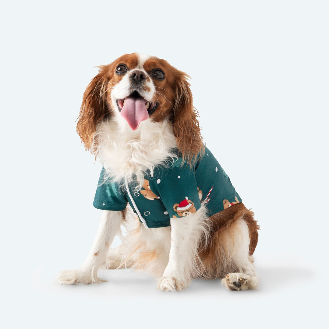 Teddybjørn Grønn Julepysj Hund