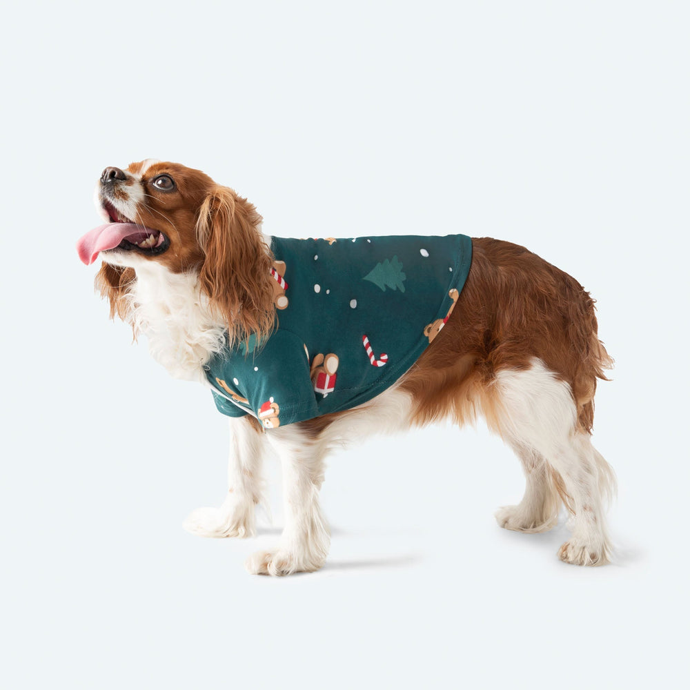 Teddybjørn Grønn Julepysj Hund