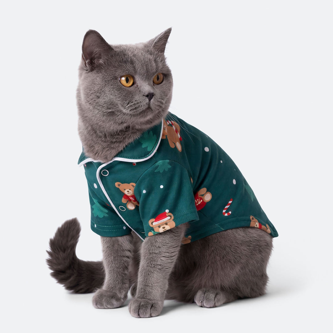 Teddybjørn Grønn Julepysj til Katt