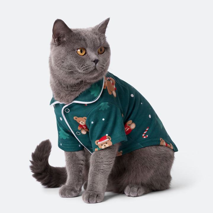 Teddybjørn Grønn Julepysj til Katt