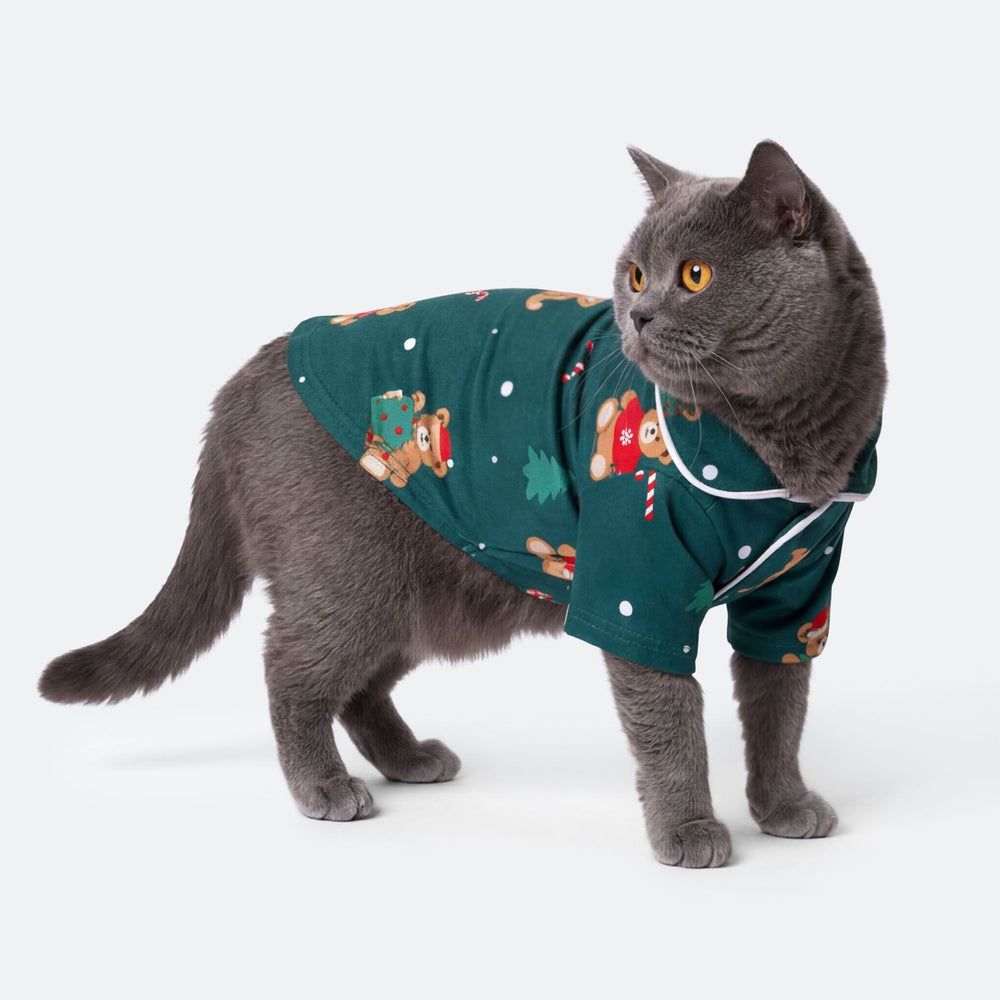 Teddybjørn Grønn Julepysj til Katt